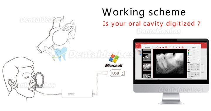 Handy HDR-600 Digital Dental X-Ray Imaging System X ary Sensor Machine